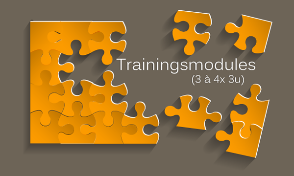 Training-modules-Hoogbegaafdheid-GR